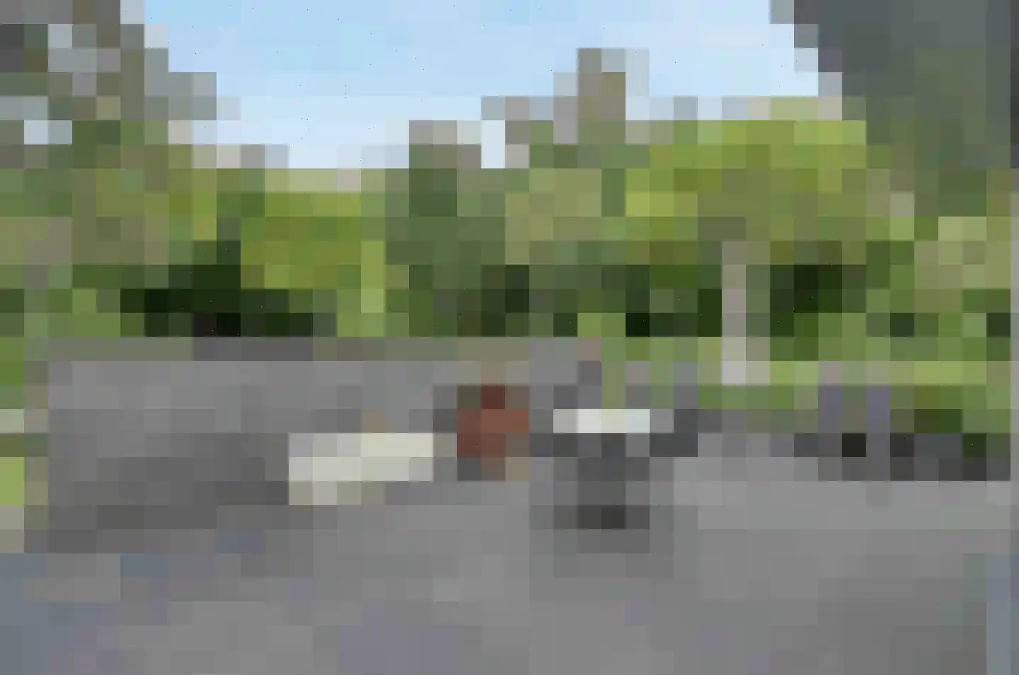 Maasbanderkerkweg 23 Stein thumbnail 14