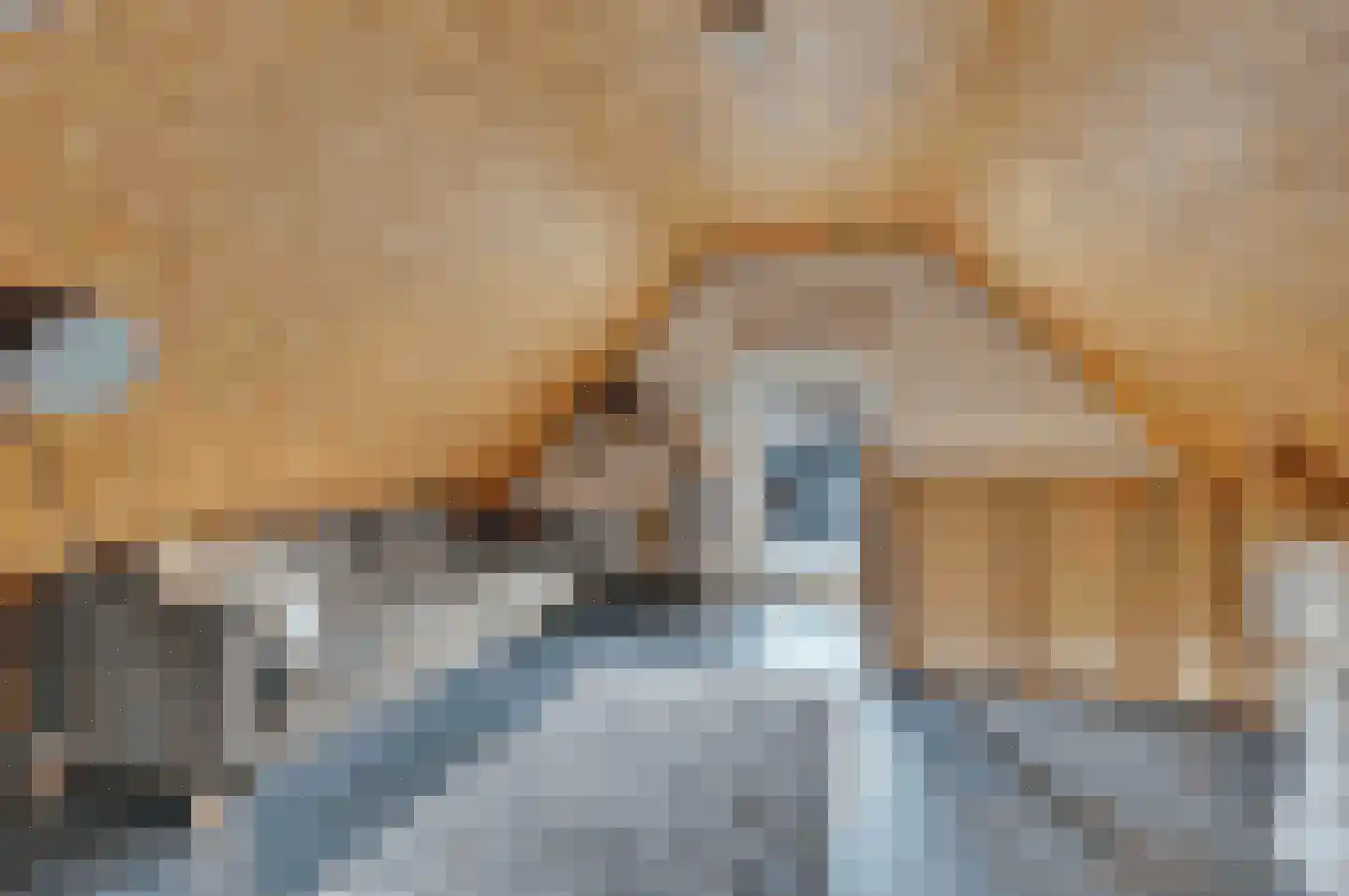 Maasbanderkerkweg 23 Stein thumbnail 15