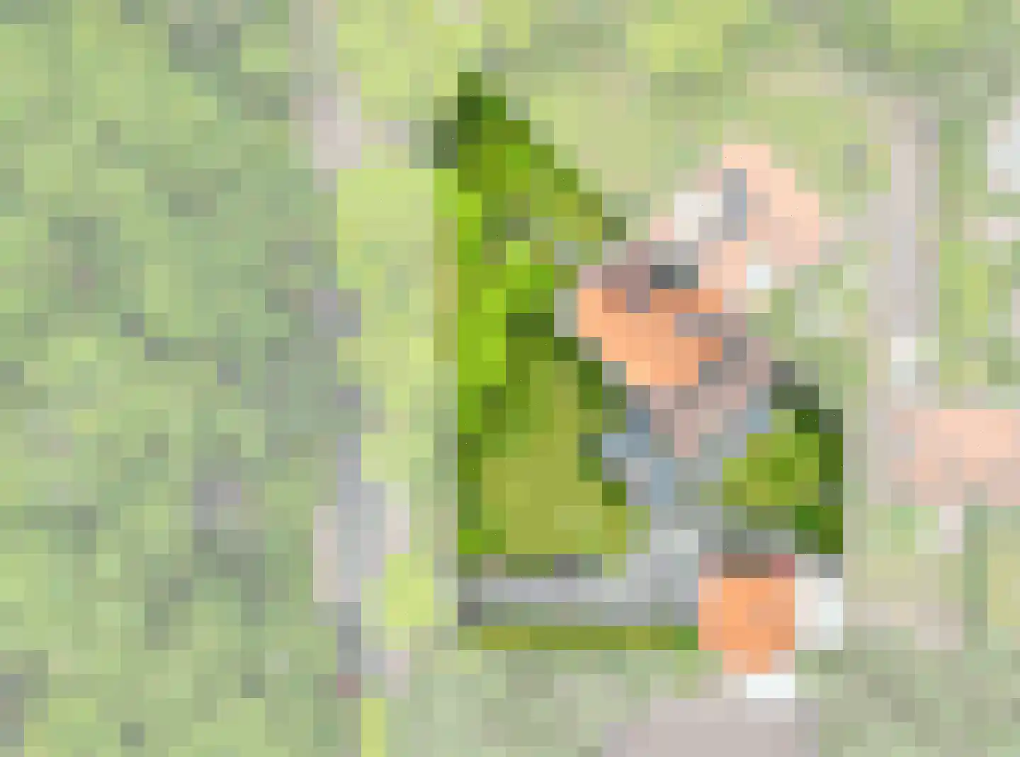 Maasbanderkerkweg 23 Stein thumbnail 16