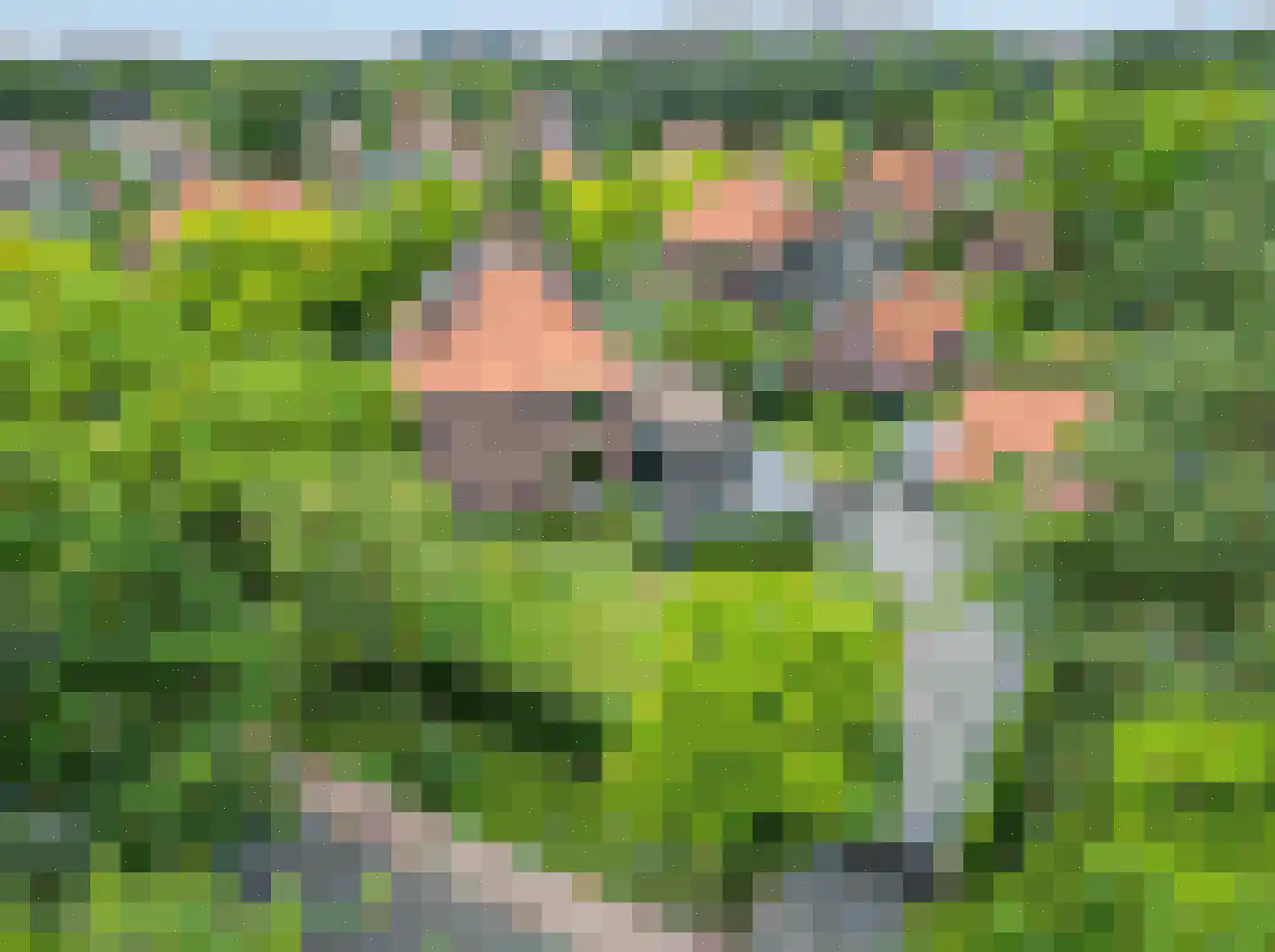Maasbanderkerkweg 23 Stein foto 2