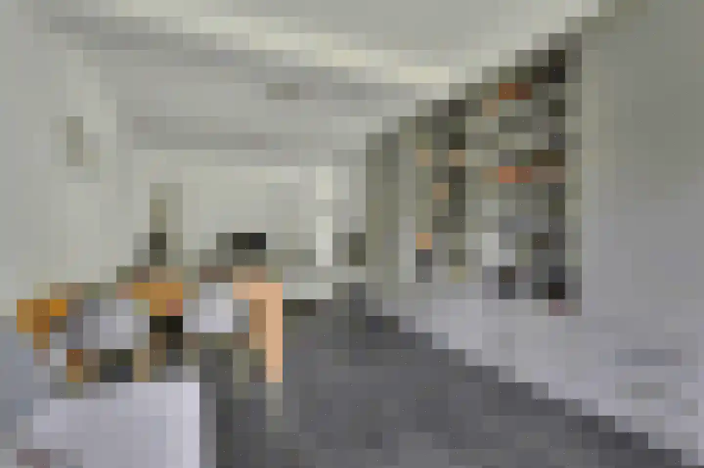 Maasbanderkerkweg 23 Stein thumbnail 5