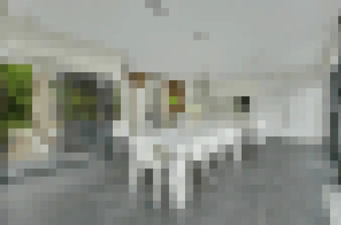 Maasbanderkerkweg 23 Stein thumbnail 7