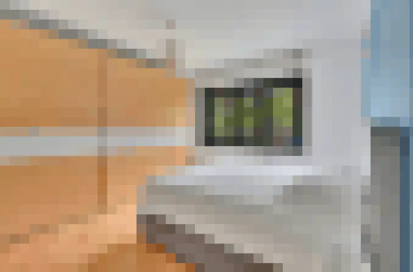Maasbanderkerkweg 23 Stein thumbnail 9