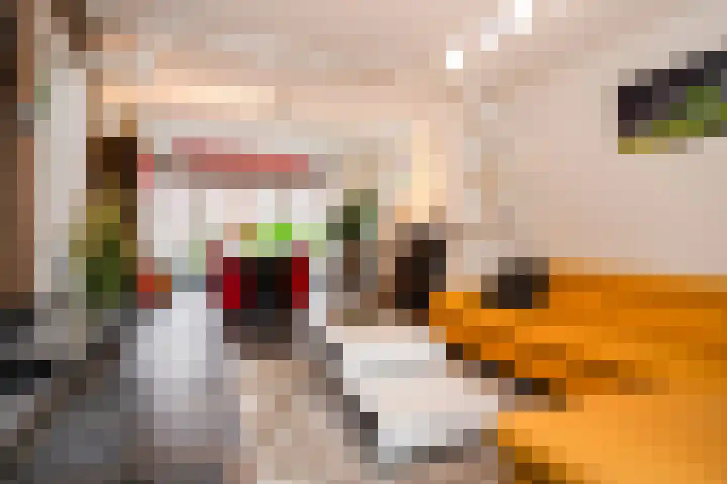 Maasbanderkerkweg 26 Stein thumbnail 15