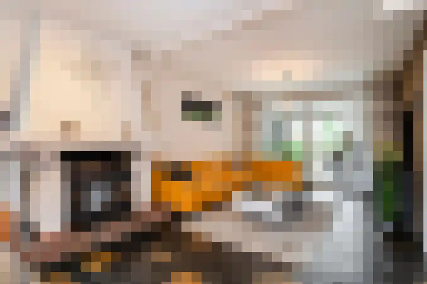 Maasbanderkerkweg 26 Stein thumbnail 16