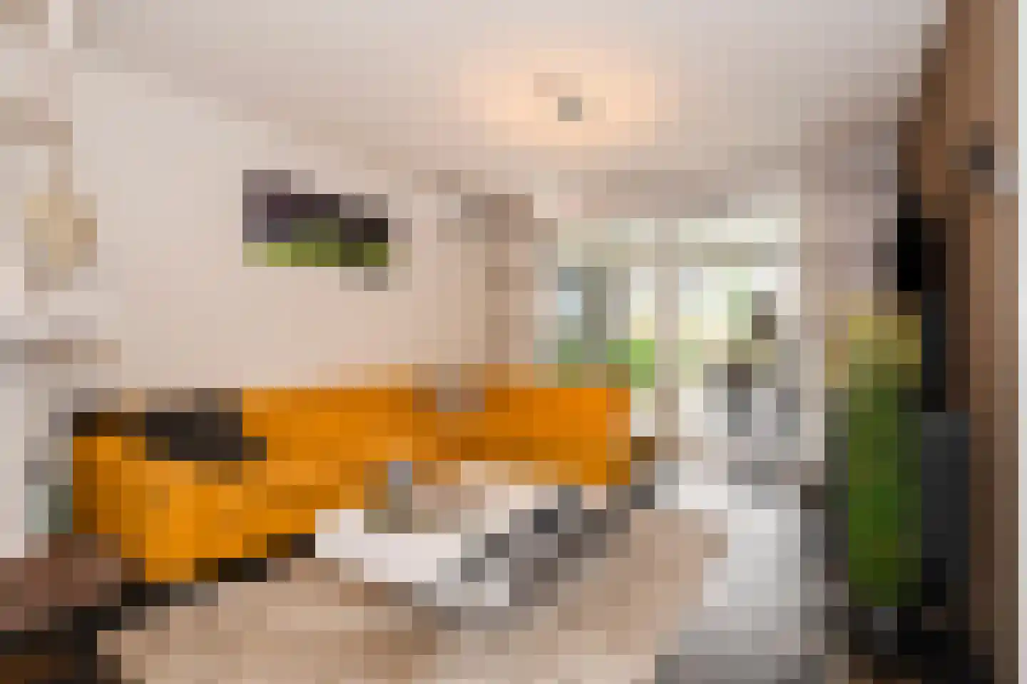 Maasbanderkerkweg 26 Stein thumbnail 17