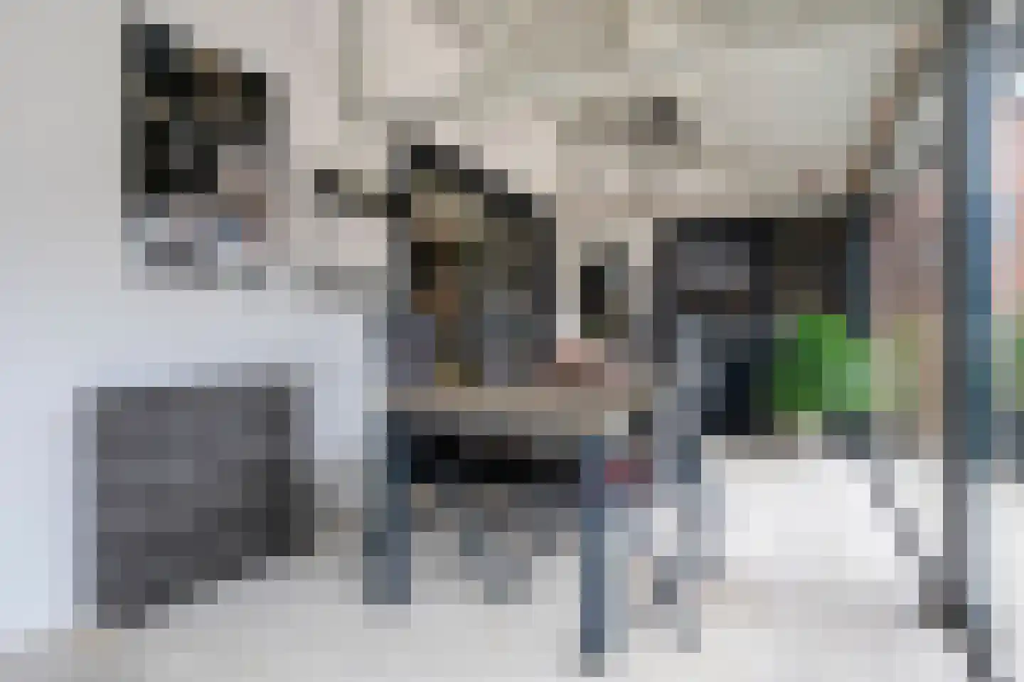 Maasbanderkerkweg 26 Stein thumbnail 19