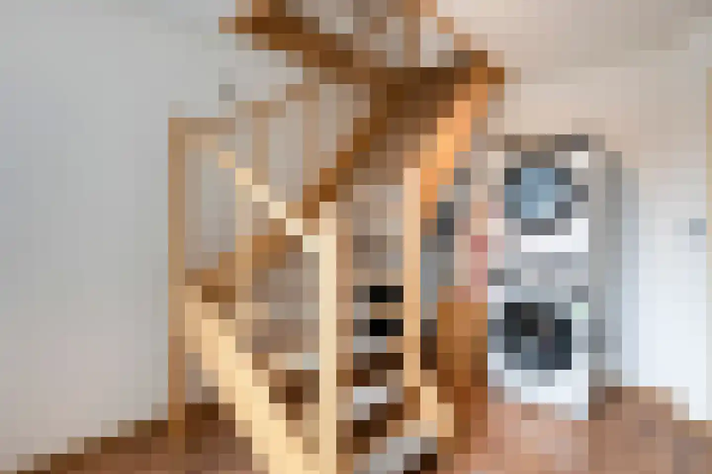 Maasbanderkerkweg 26 Stein thumbnail 30