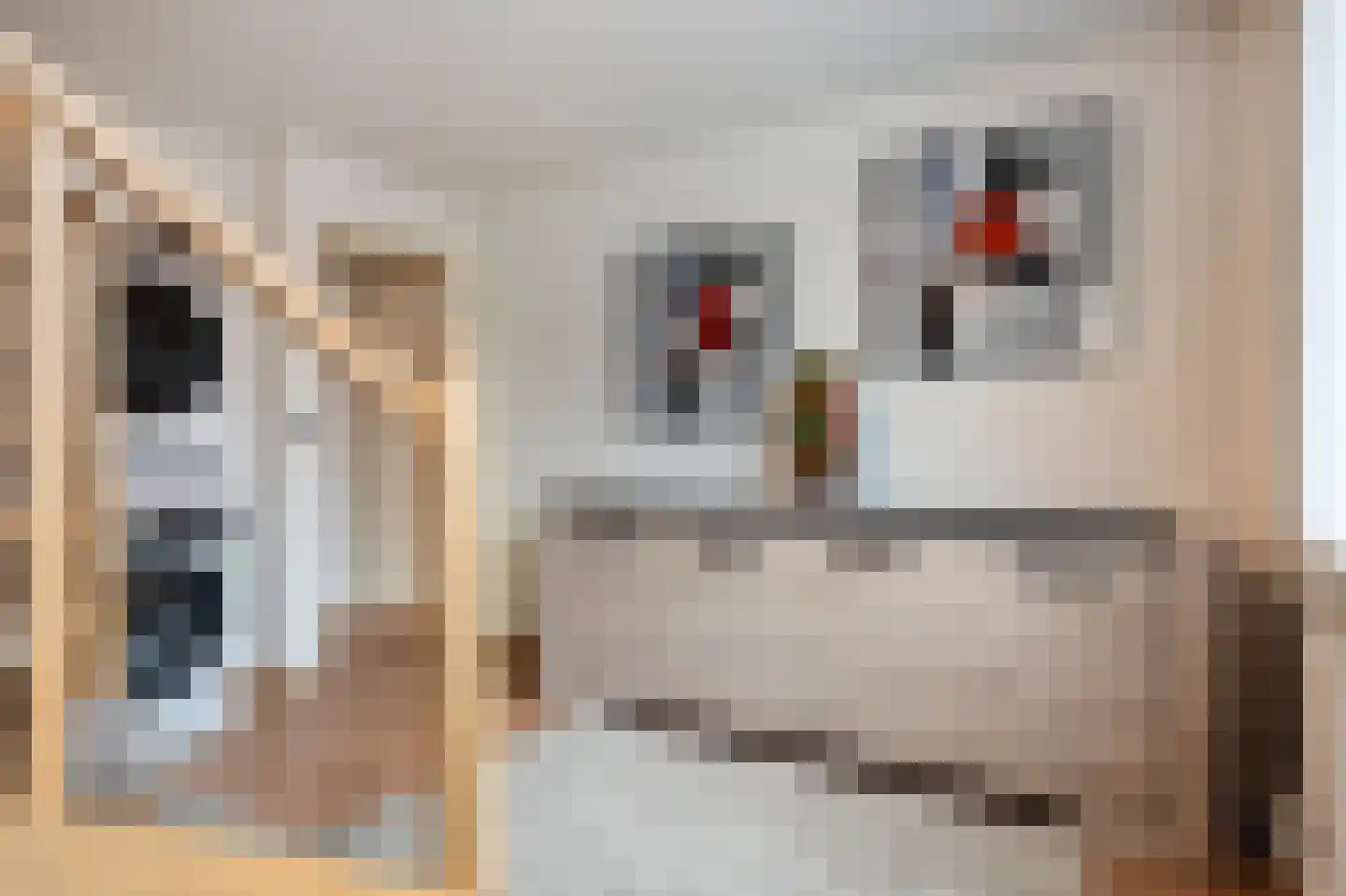 Maasbanderkerkweg 26 Stein thumbnail 31