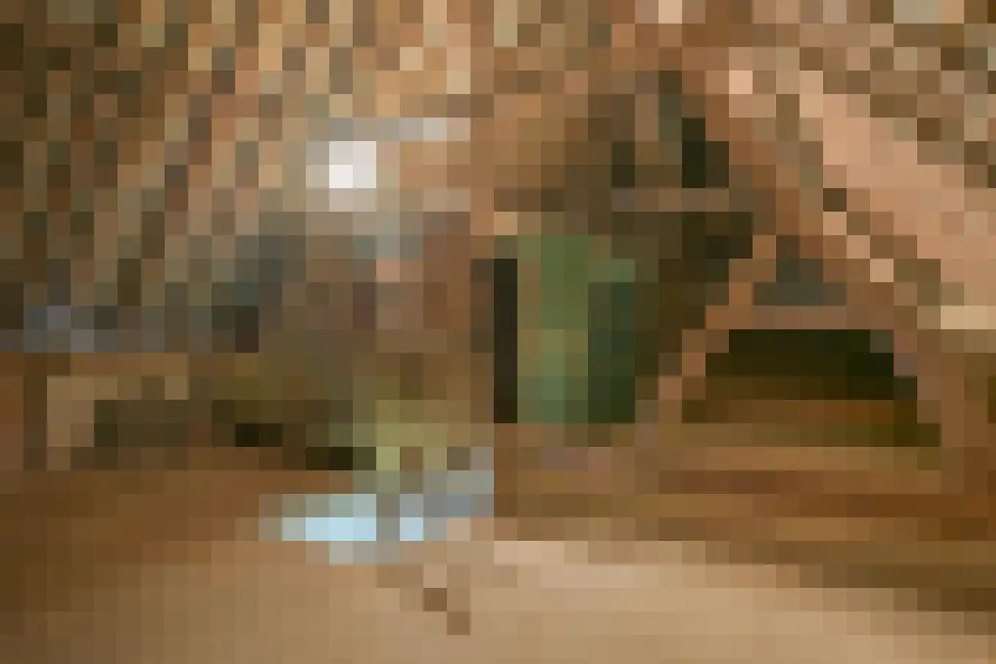 Maasbanderkerkweg 29 Stein thumbnail 17