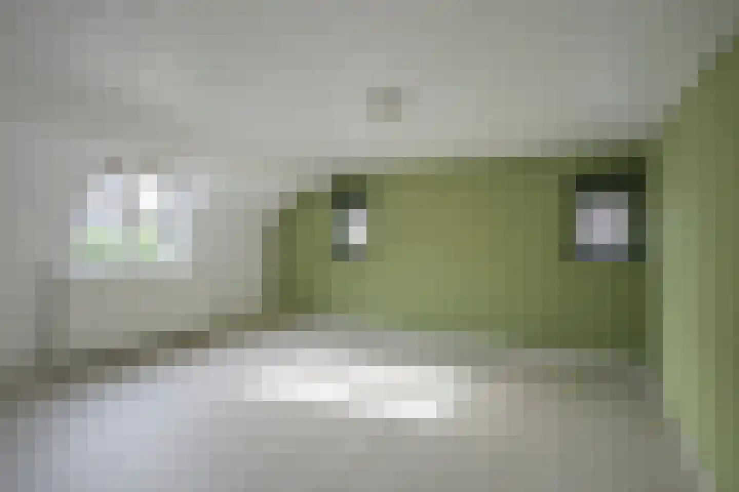 Maasbanderkerkweg 29 Stein thumbnail 20