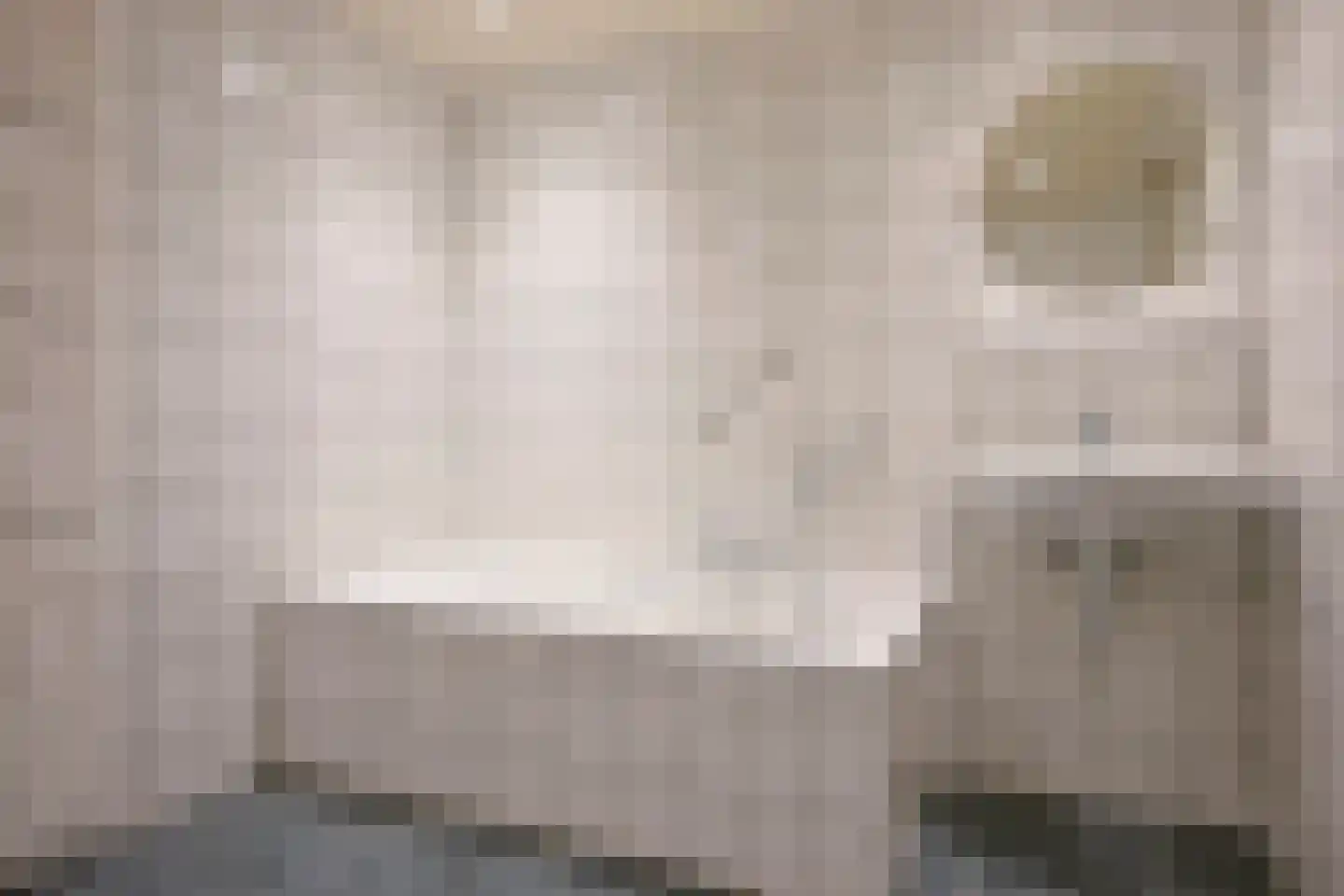 Maasbanderkerkweg 29 Stein thumbnail 4