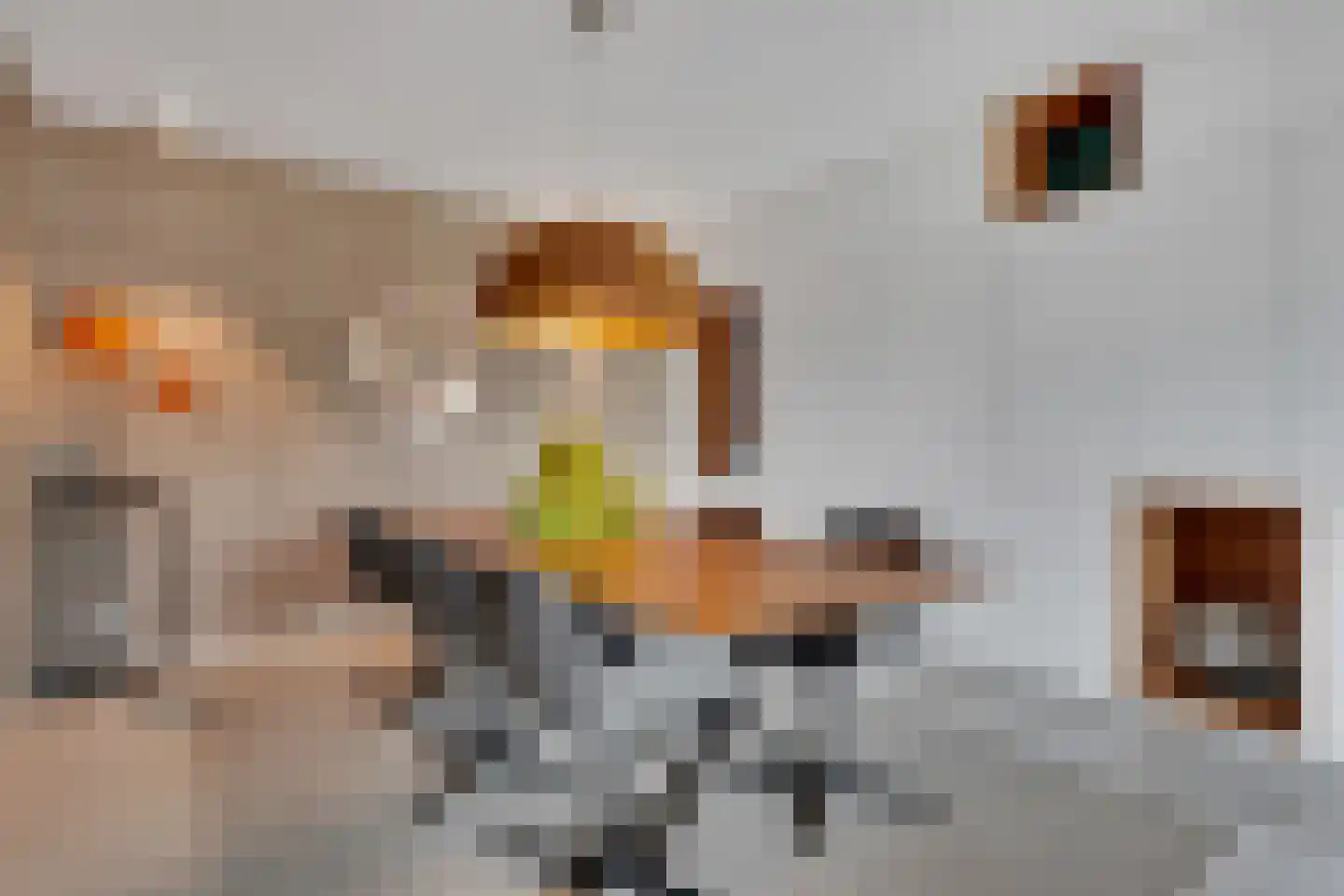 Maasbanderkerkweg 3630 a Stein thumbnail 17