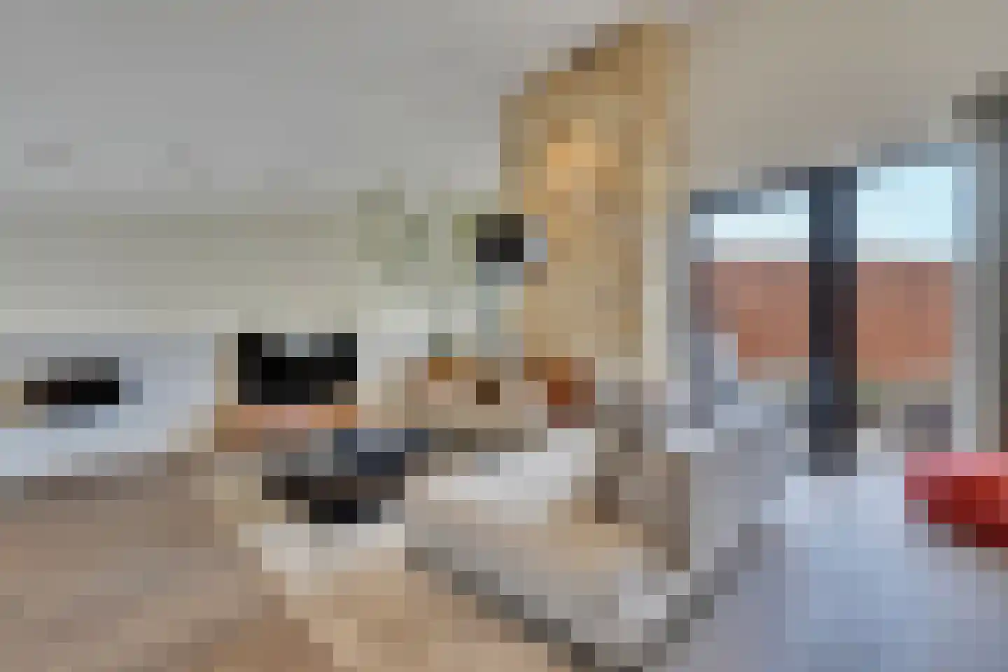 Maasbanderkerkweg 3630 a Stein thumbnail 23