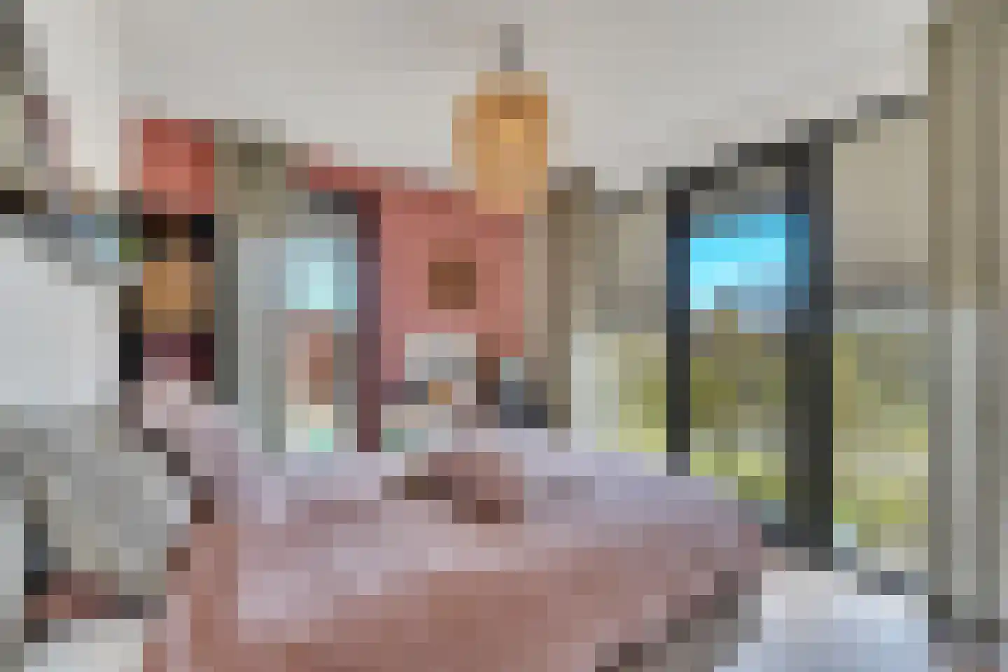 Maasbanderkerkweg 3630 a Stein thumbnail 26