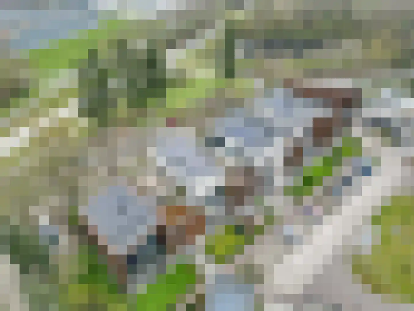 Maasbanderkerkweg 3630 a Stein thumbnail 5