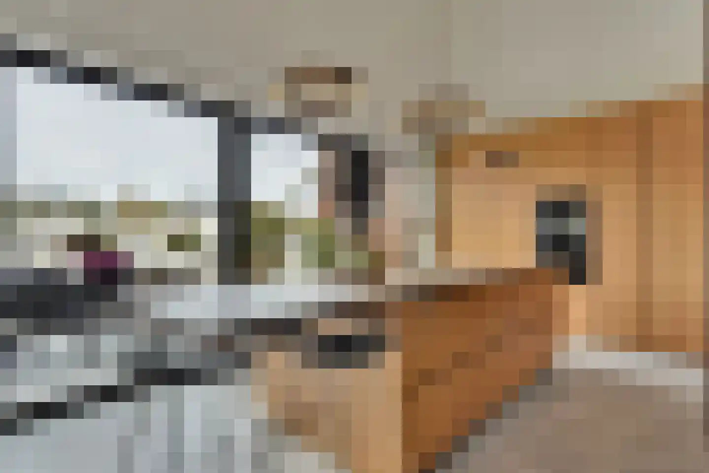 Maasbanderkerkweg 3630 a Stein thumbnail 7