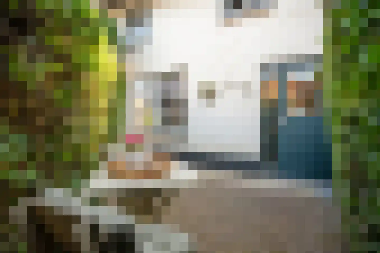 Maasbanderkerkweg 7 Stein thumbnail 10