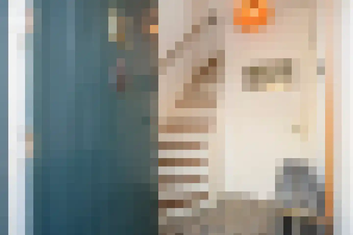 Maasbanderkerkweg 7 Stein thumbnail 12