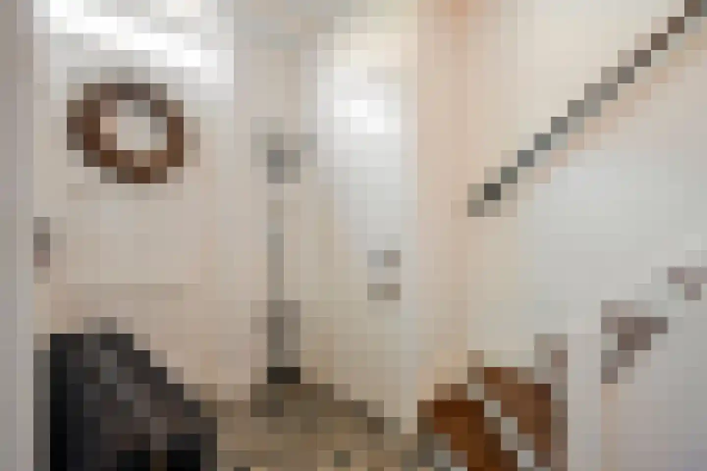Maasbanderkerkweg 7 Stein thumbnail 13
