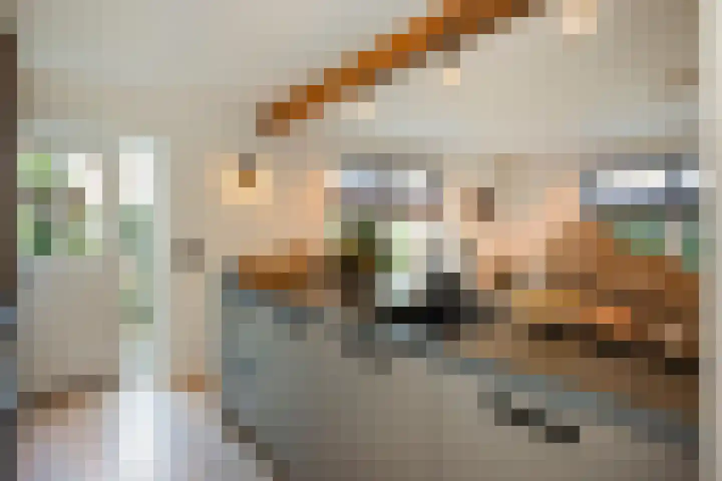 Maasbanderkerkweg 7 Stein thumbnail 19
