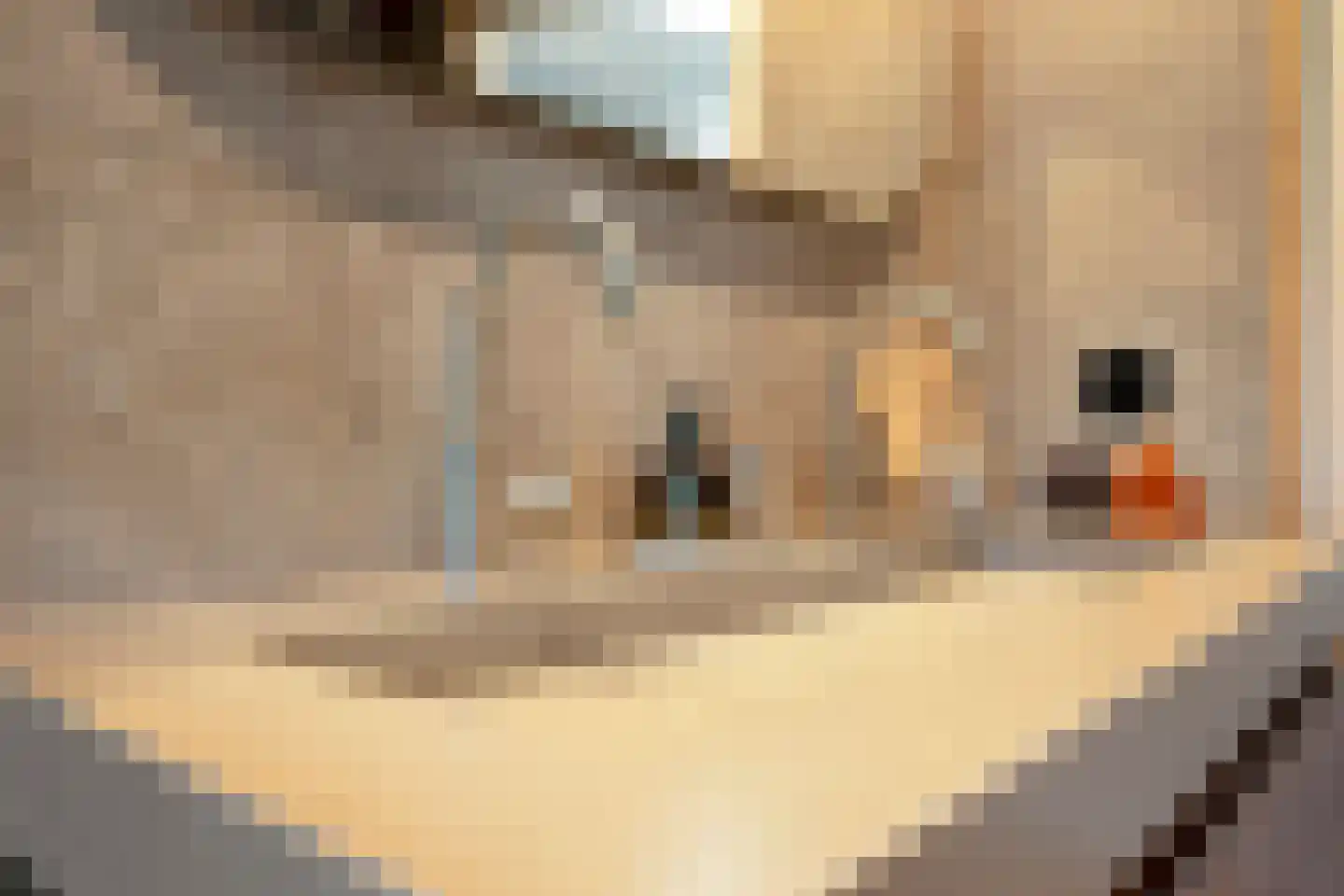 Maasbanderkerkweg 7 Stein thumbnail 33