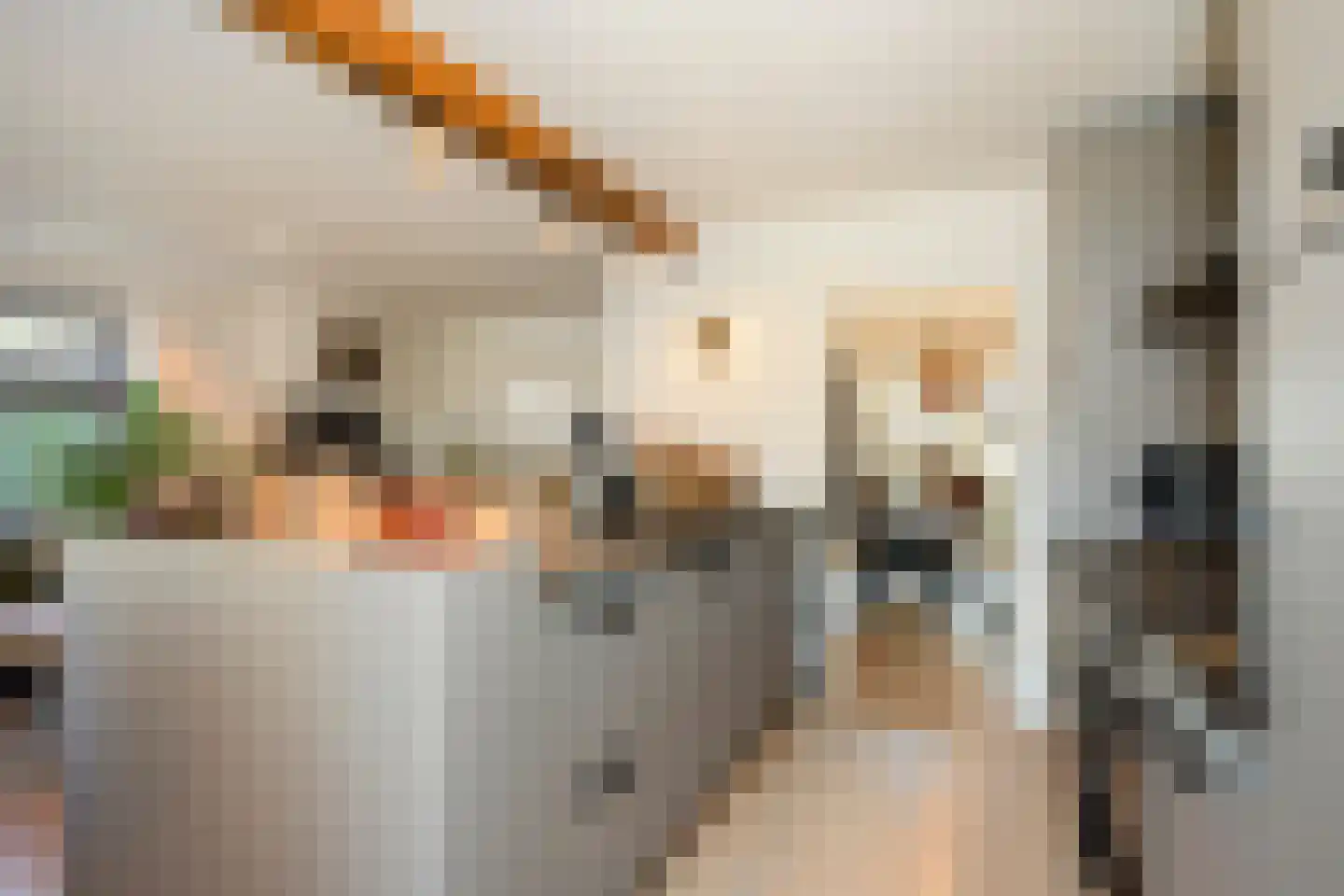 Maasbanderkerkweg 7 Stein thumbnail 4