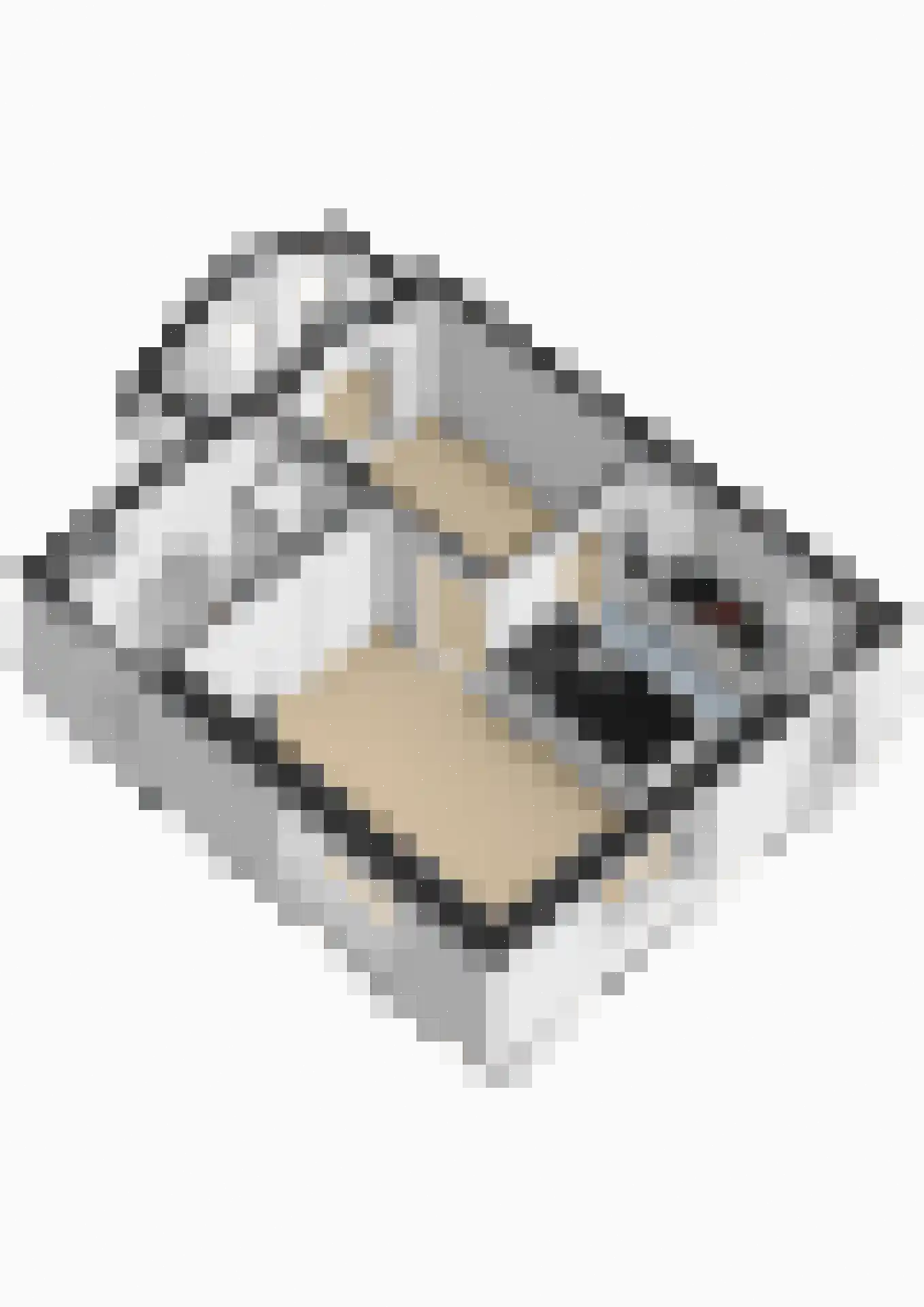 Maasbanderkerkweg 7 Stein thumbnail 50