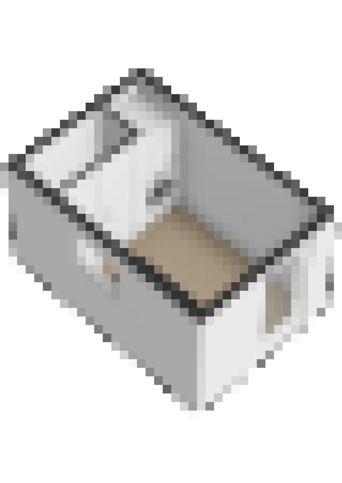 Maasbanderkerkweg 7 Stein thumbnail 53