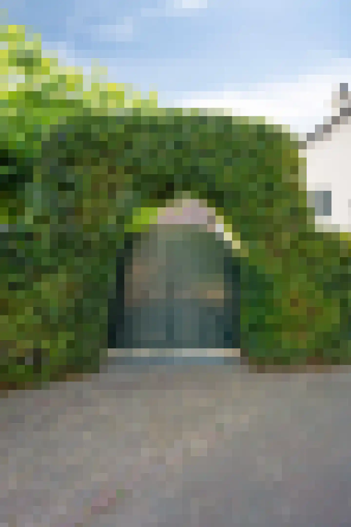 Maasbanderkerkweg 7 Stein thumbnail 8