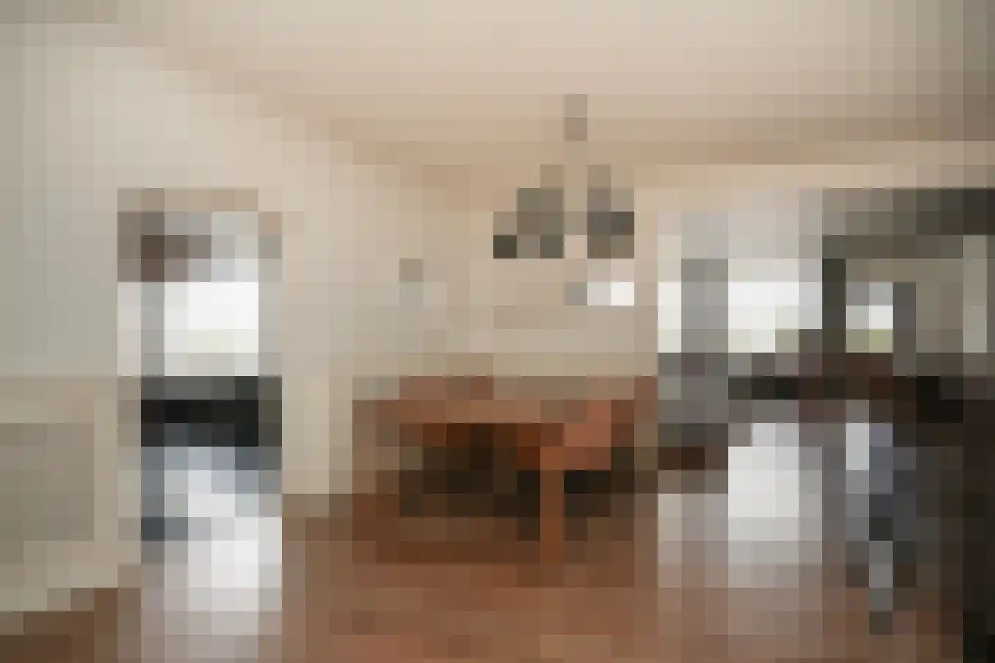Maasbandijk 1 c Kerkdriel thumbnail 16