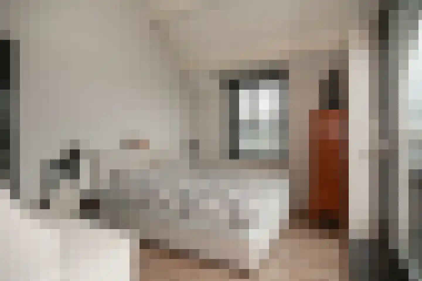 Maasbandijk 1 c Kerkdriel thumbnail 24