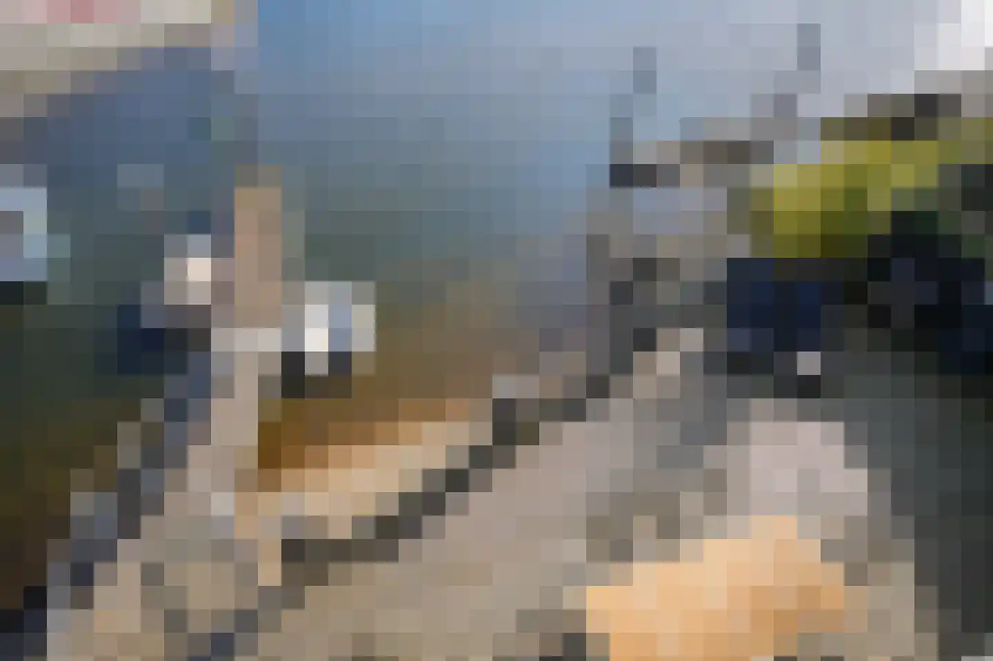 Maasbandijk 1 c Kerkdriel thumbnail 27