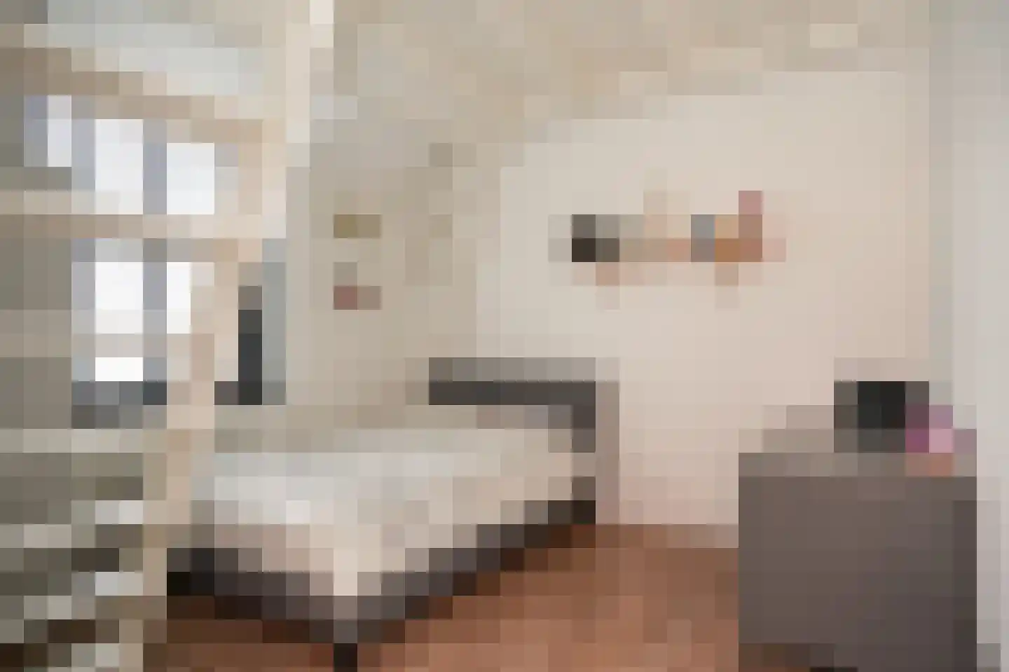 Maasbandijk 1 c Kerkdriel thumbnail 30