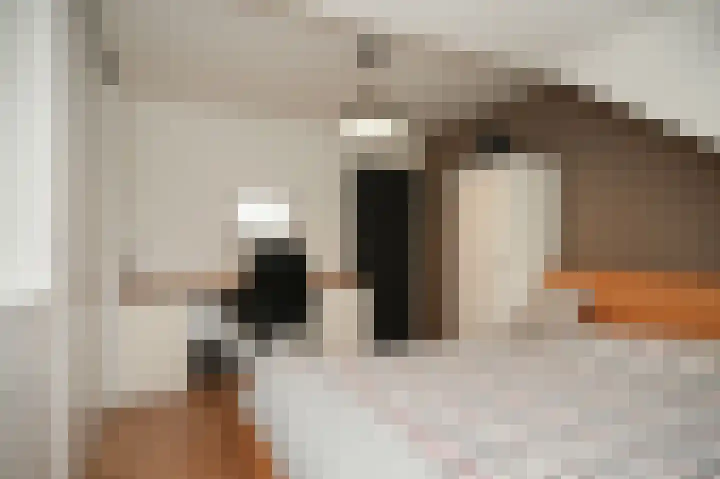 Maasbandijk 1 c Kerkdriel thumbnail 35