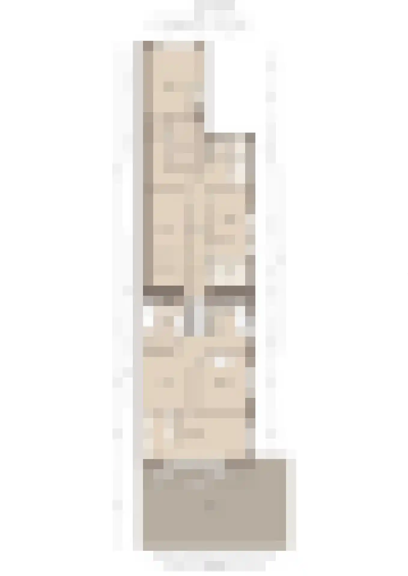 Maasbandijk 1 c Kerkdriel thumbnail 66