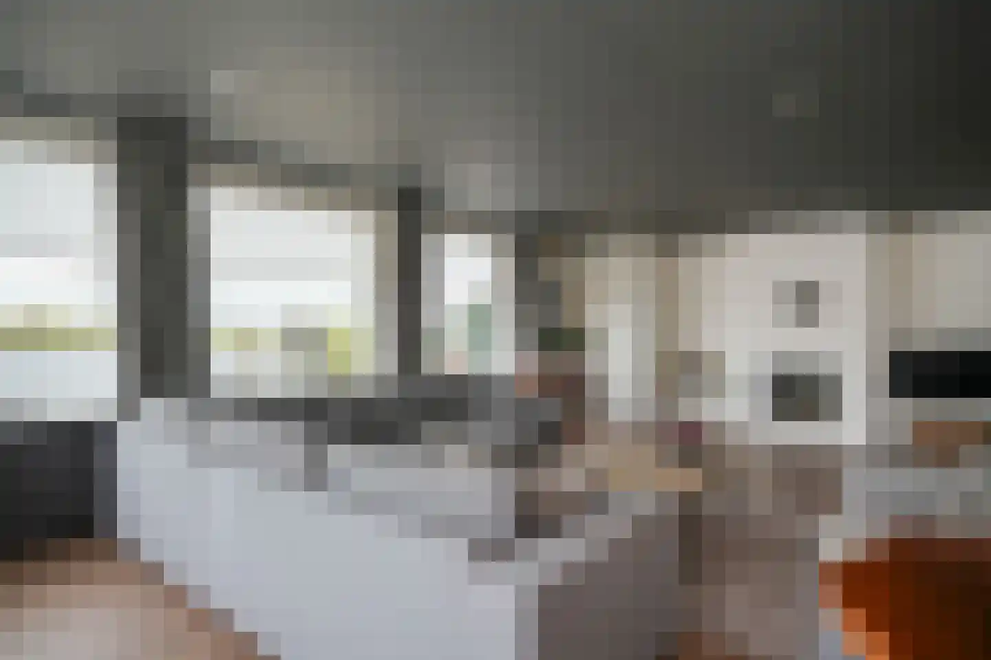Maasbandijk 1 c Kerkdriel thumbnail 7