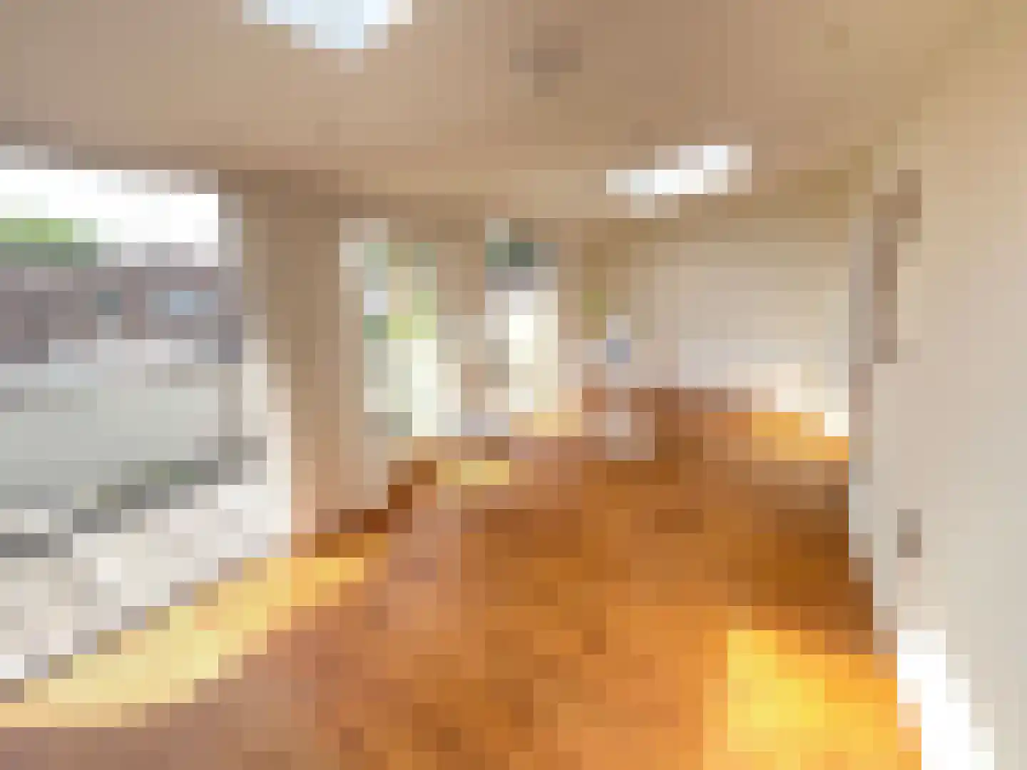 Maasbandijk 4 Kerkdriel thumbnail 10