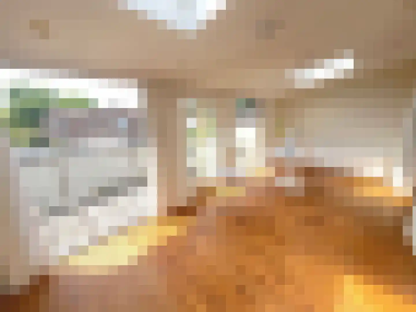 Maasbandijk 4 Kerkdriel thumbnail 11