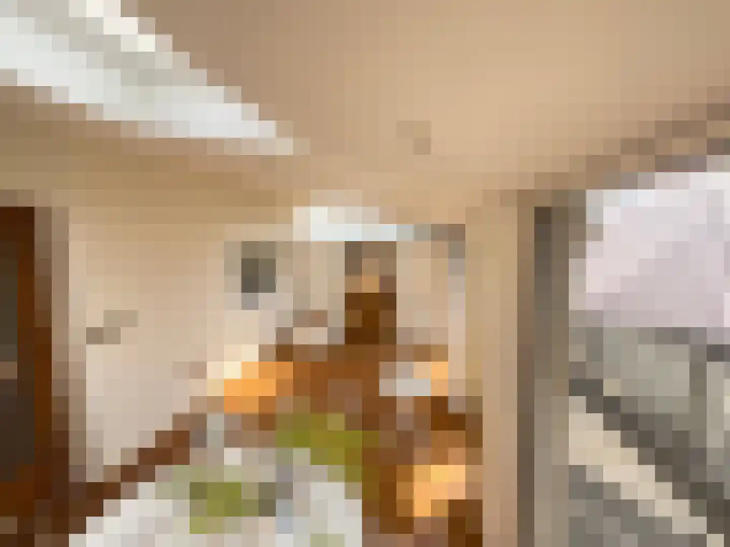 Maasbandijk 4 Kerkdriel thumbnail 14