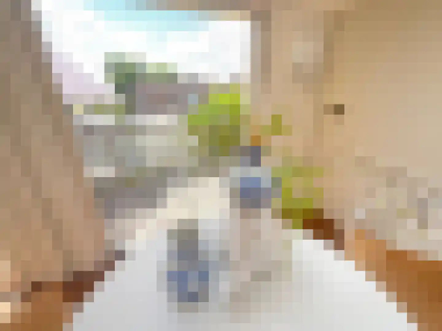 Maasbandijk 4 Kerkdriel thumbnail 15