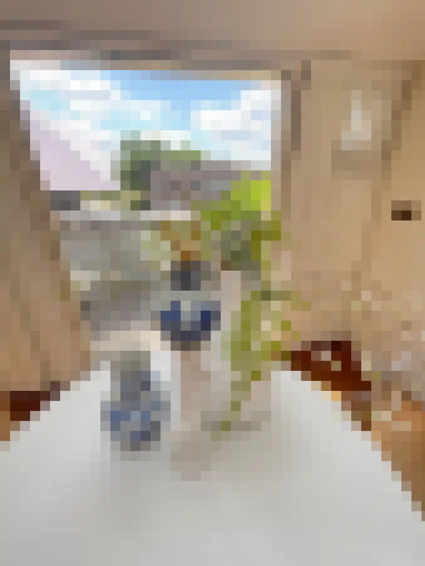 Maasbandijk 4 Kerkdriel thumbnail 16