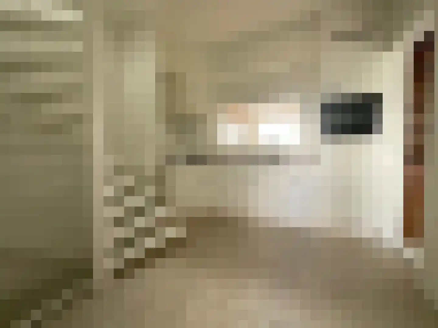 Maasbandijk 4 Kerkdriel thumbnail 17