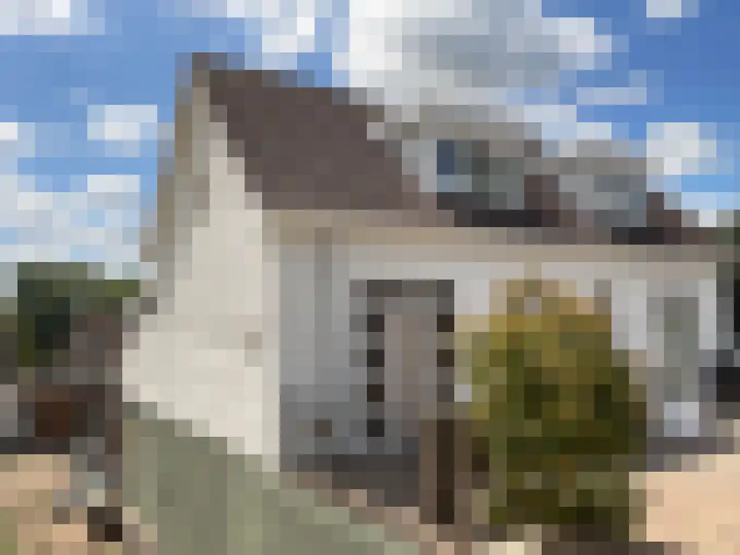 Maasbandijk 4 Kerkdriel foto 2