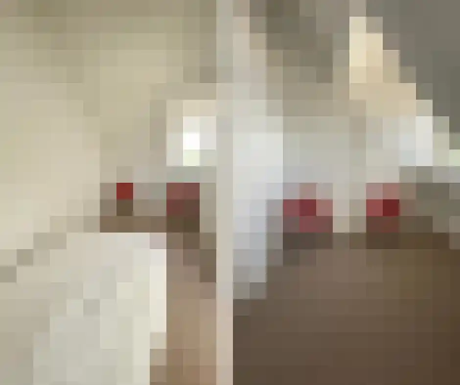 Maasbandijk 4 Kerkdriel thumbnail 20