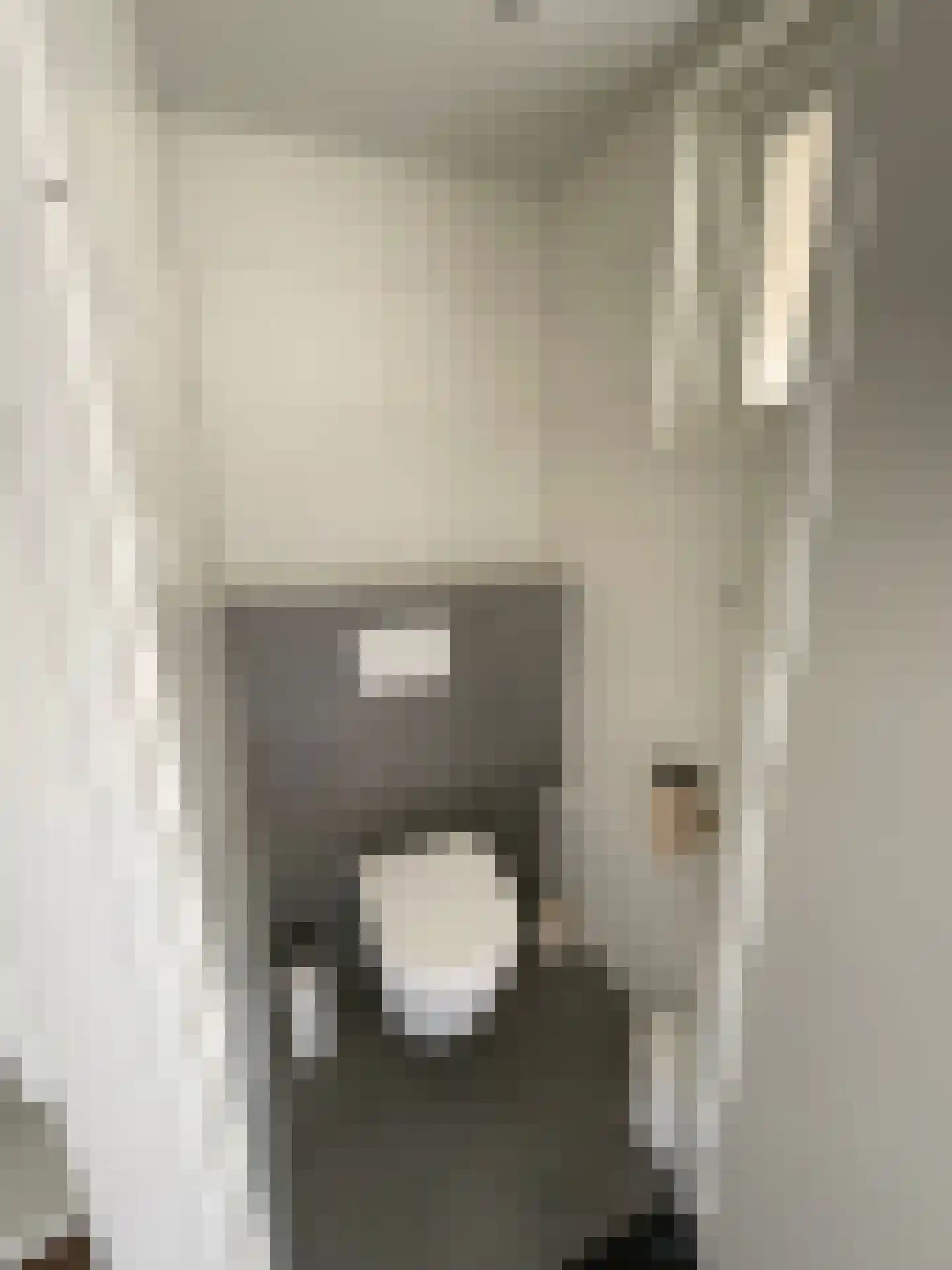 Maasbandijk 4 Kerkdriel thumbnail 22