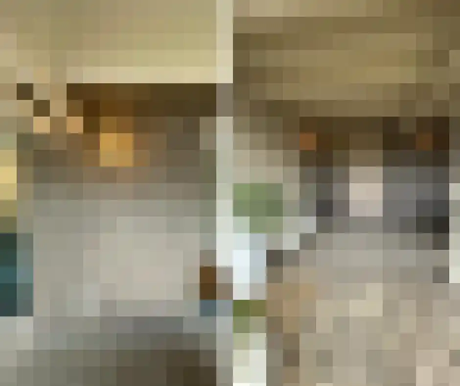 Maasbandijk 4 Kerkdriel thumbnail 28