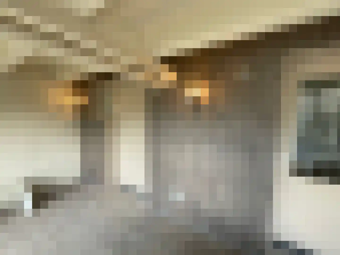 Maasbandijk 4 Kerkdriel thumbnail 29