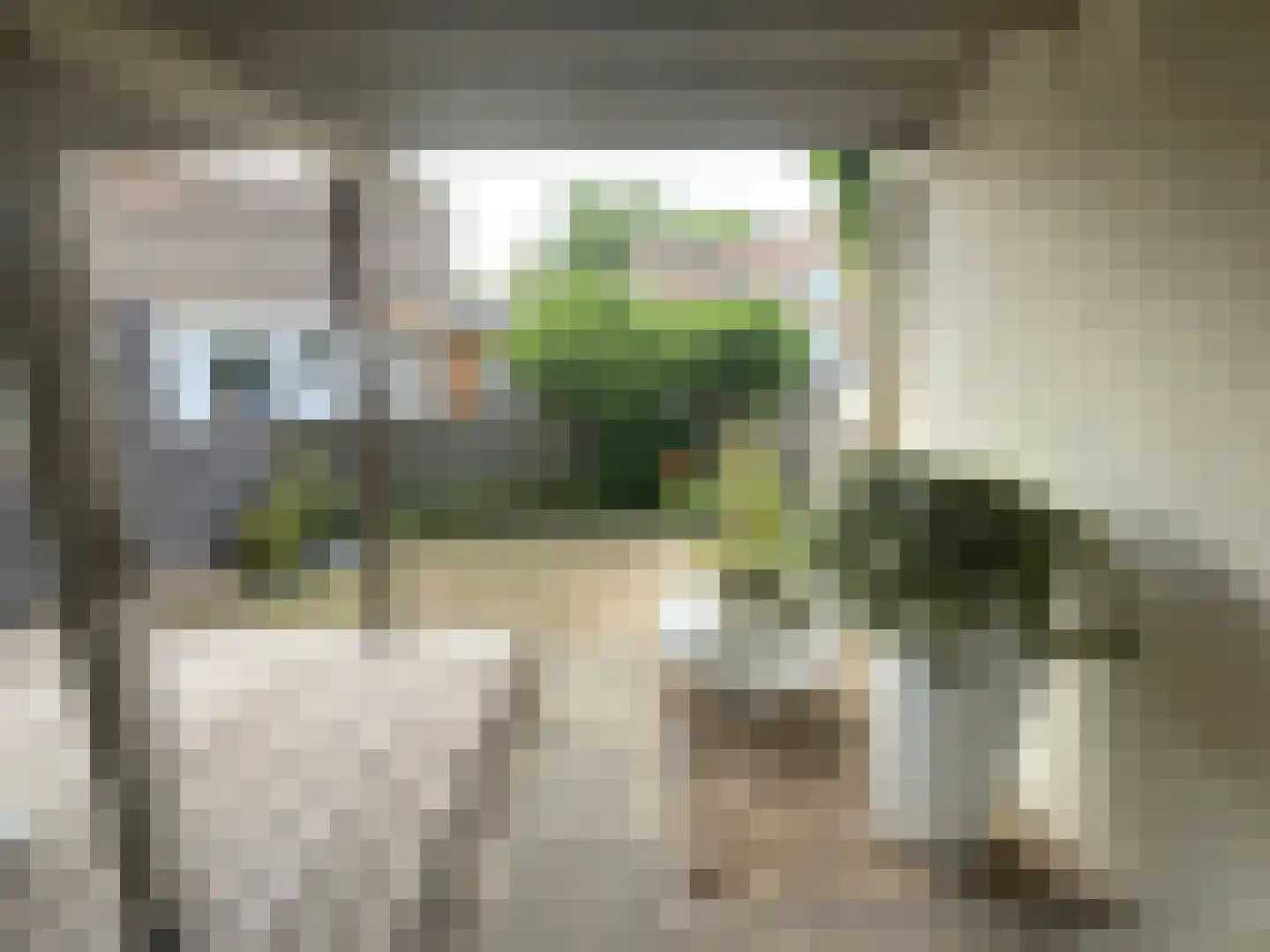 Maasbandijk 4 Kerkdriel thumbnail 30