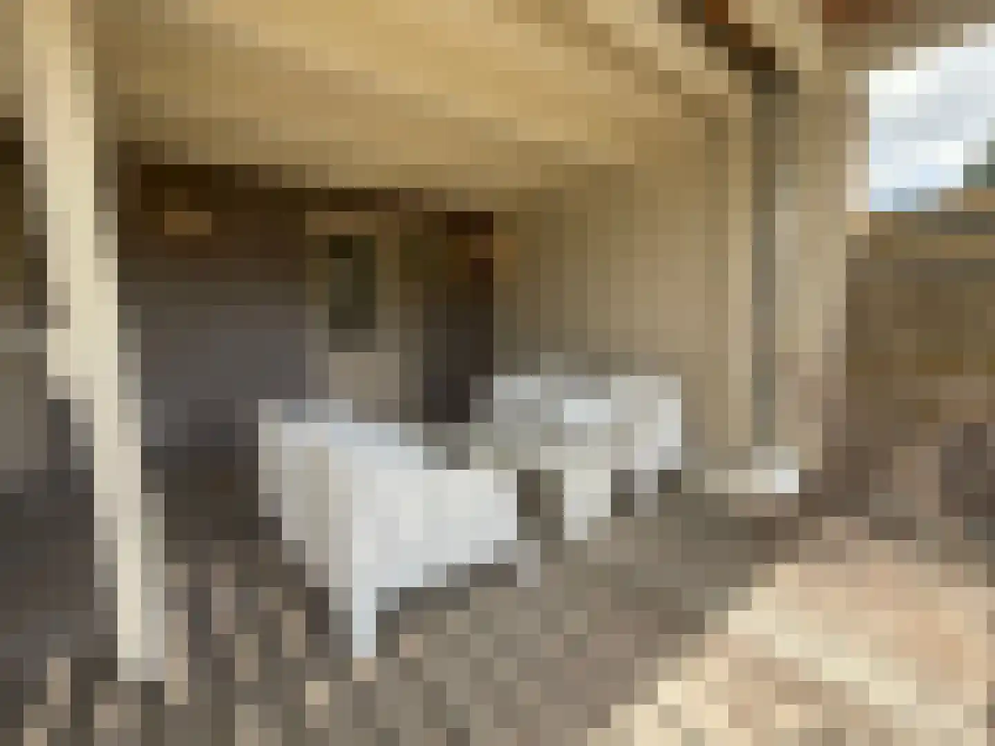 Maasbandijk 4 Kerkdriel thumbnail 31
